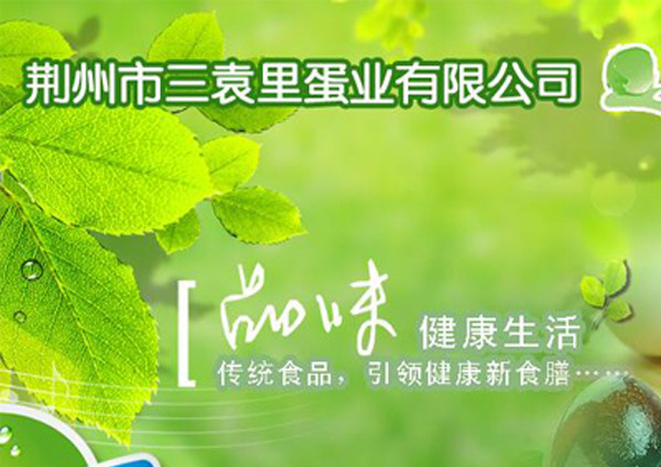 荊州市三袁里蛋業(yè)有限公司